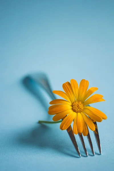 Tenedor con Flor —  Fotos de Stock
