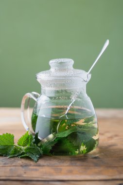 Isırgan otu (Urtica dioica) )