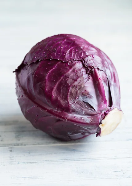 Red Cabbage — Stock Photo, Image