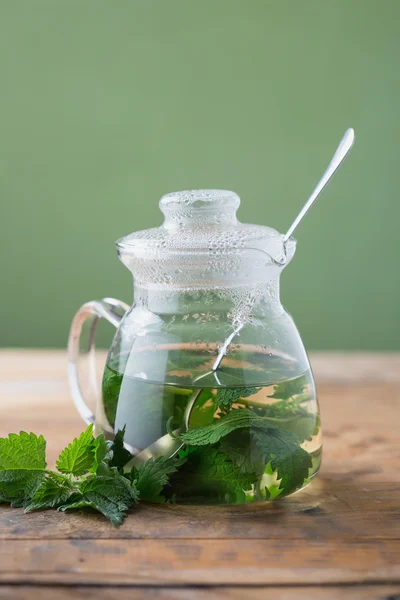 Csalán (Urtica dioica) ) — Stock Fotó