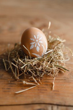 Boyalı Paskalya yumurtası