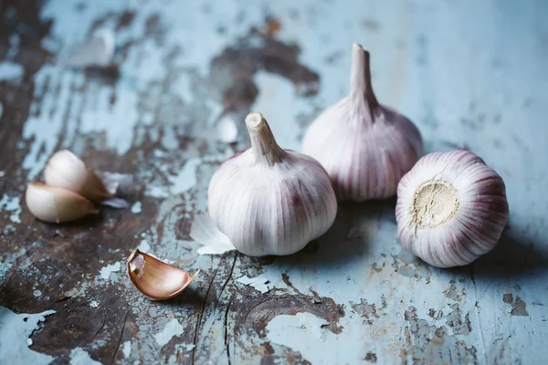 Aromatische knoflook bollen — Stockfoto