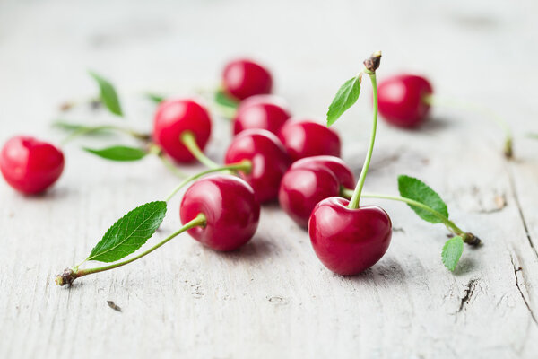 Fresh organic sour cherries