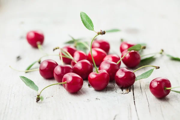 Fresh organic sour cherries — Stock Photo, Image