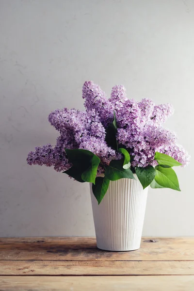 Сирень (Syringa vulgaris) ) — стоковое фото