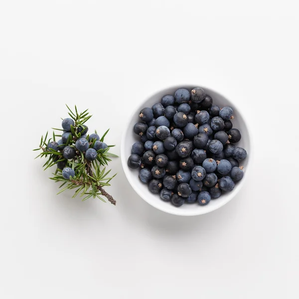 Wacholderbeeren auf weißem Hintergrund — Stockfoto