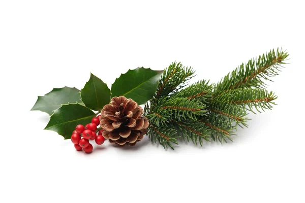 Holly berries and pine cone — Stock Photo, Image