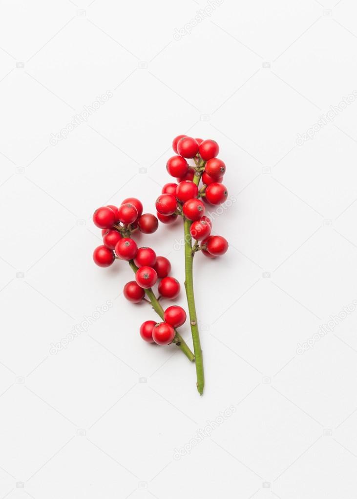 Christmas Holly berries