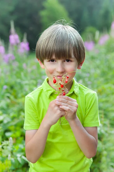 Niño con racimo de fresas silvestres —  Fotos de Stock