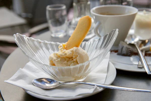 Vanilla ice cream with cookie — Stock Photo, Image