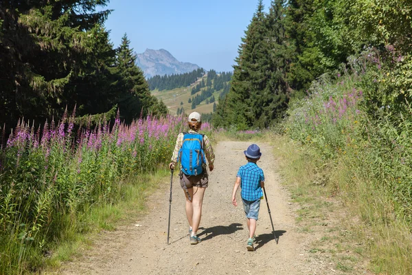 Fransız Alpleri'nde yürüme çocuklar — Stok fotoğraf