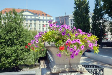 Köprü korkuluğu çiçekler