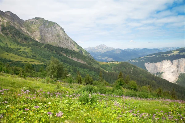 Peisaj montan în timpul verii — Fotografie, imagine de stoc