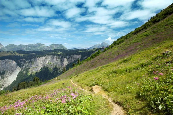 Verão paisagem de montanha — Fotografia de Stock