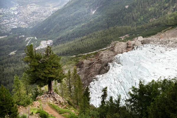 Glaciar Bossons en Francia — Foto de Stock