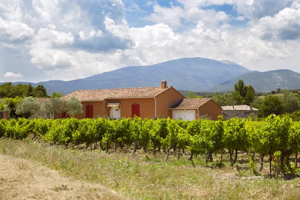 Casa di provenienza tradizionale e vigneto — Foto Stock