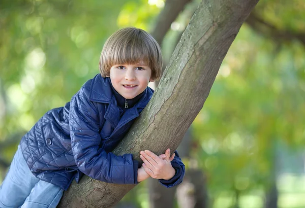 Niño abrazos árbol — Foto de Stock