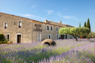 Lavanta Provence Müzesi