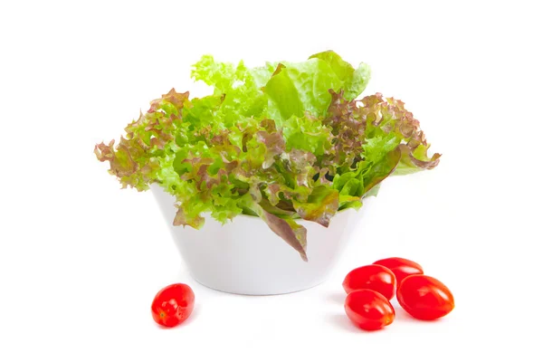 Körsbärstomater och platta med fräsch sallad — Stockfoto