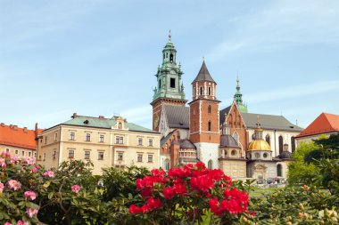 Kırmızı çiçekli Wawel Kalesi