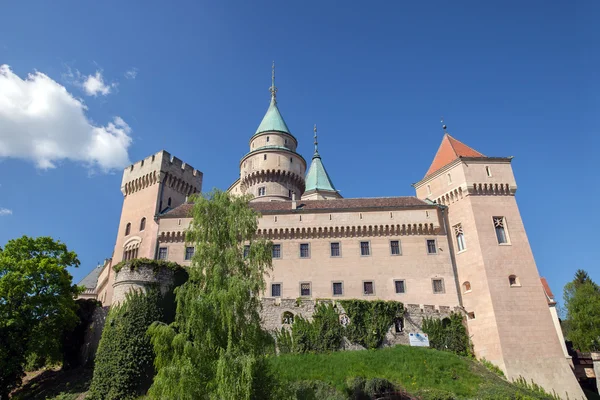 Вид на замок Бойнице — стоковое фото