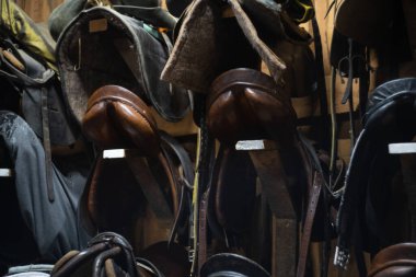 Duvarda asılı deri at eyerleri