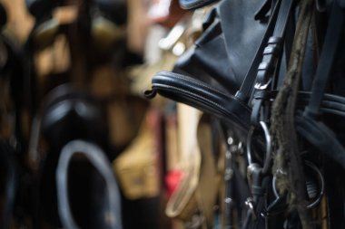  At dizginleri ahır duvarında asılı.