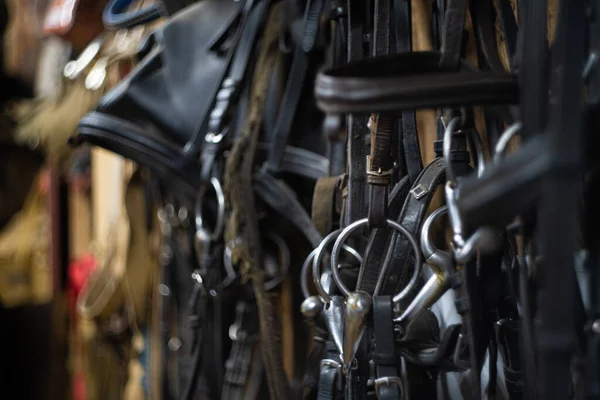  At dizginleri ahır duvarında asılı.