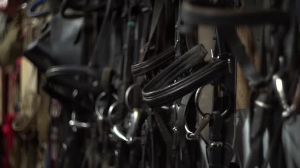 Zaumzeug, Steigbügel und Zügel hängen im Pferdestall, langsame Kameraverkabelung — Stockvideo