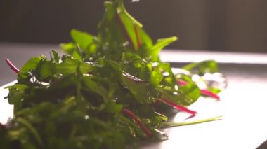 Şefin elleri eldivenli Salatayı tabağa koy.