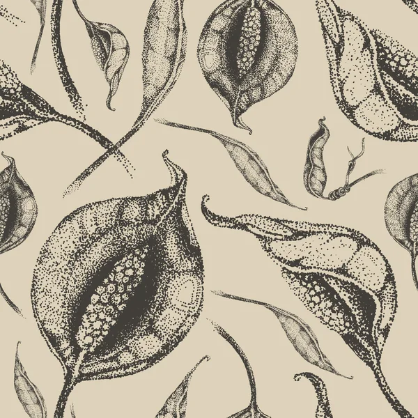 Spathiphillum