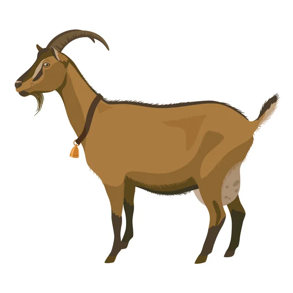 Brązowy Koza, widok z boku, na białym tle — Wektor stockowy