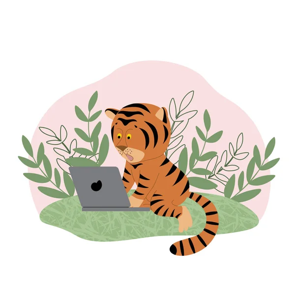 Roztomilé Tygří Mládě Laptopem Zeleném Trávníku Dětská Ilustrace Novoročního Symbolu — Stockový vektor