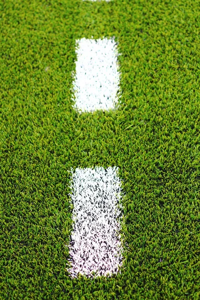 Campo de fútbol y césped verde . — Foto de Stock