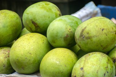 Mangifera indica mango parlak yeşil mangolar Pazar için taze sergilenir.