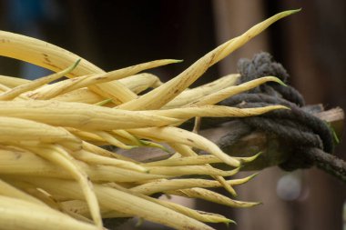 Kırsal dekor için iple bağlanmış sarı bitki yapraklarını kapat