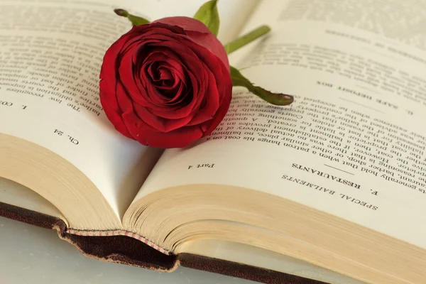Παλιό βιβλίο και το τριαντάφυλλο — Φωτογραφία Αρχείου