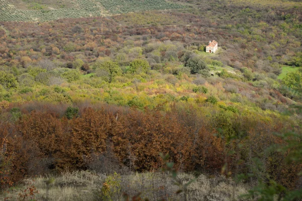 Εναέρια θέα στην κοιλάδα του Alazani το φθινόπωρο, Sighnaghi, Kakheti περιοχή — Φωτογραφία Αρχείου