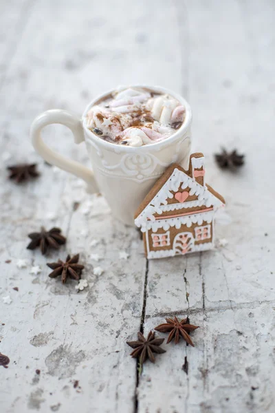 Taza de cacao con malvaviscos y galletas de jengibre sueño de invierno — Foto de Stock