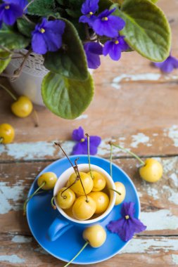 Blue tea cup full with yellow cherries with violets in a pot