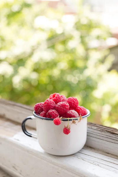 에 나 멜 컵 나무 딸기 — 스톡 사진