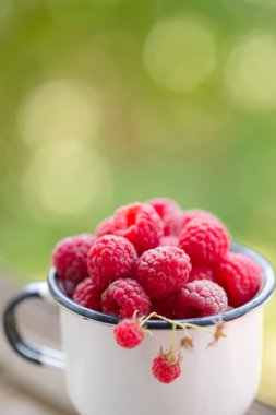 Ahududu bir emaye Kupası