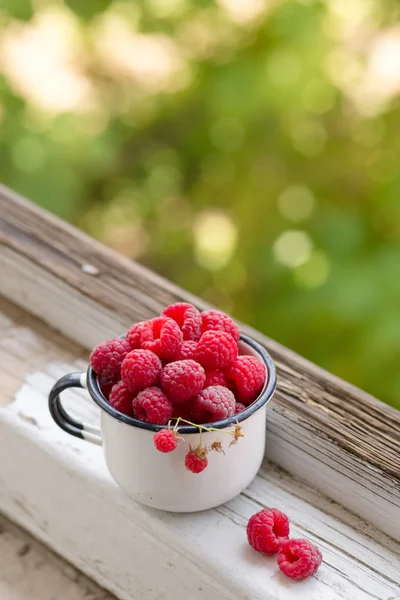 Raspberries in an enamel cup — Stock Photo, Image