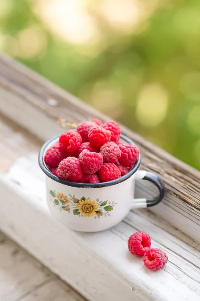 Ahududu bir emaye Kupası — Stok fotoğraf