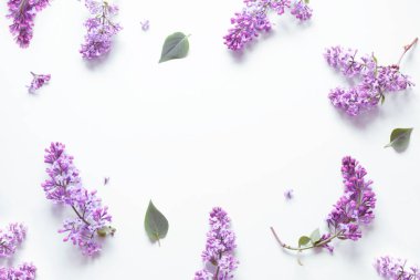 Nane yeşili arkaplanda leylak deseni