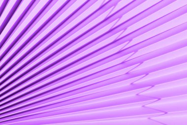 ametist orkidesi kağıt fan dokusu