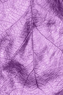 Elle boyanmış altın metalik meşe yaprağının makro detaylarını kapat.