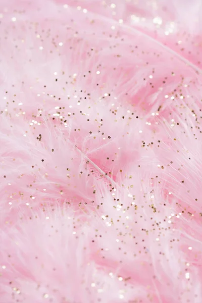 Pink fluffy feathers with gold glitter Stock Picture