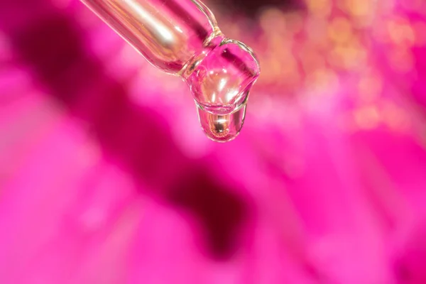 Detalj pipett dropper med ansikte serum med droppe på en fuchsia rosa blomma bakgrund — Stockfoto