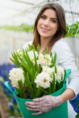 tencerede güzel çiçekler